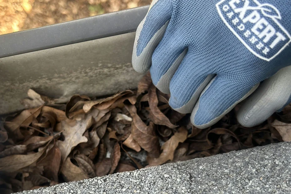 Gutter Cleaning Satellite Beach FL