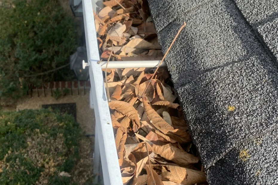 Gutter Cleaning Satellite Beach FL